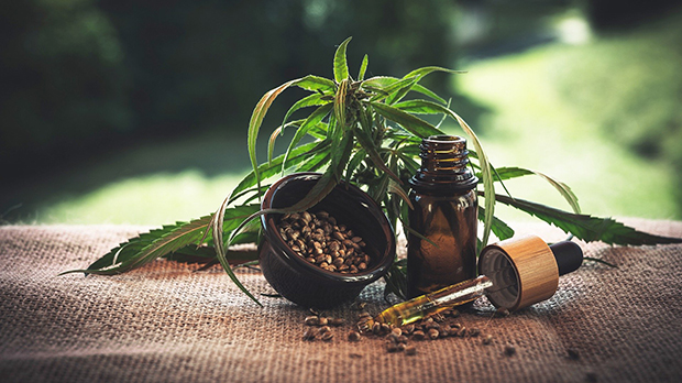 Cannabis and Cancer: What Does Science Really Say?