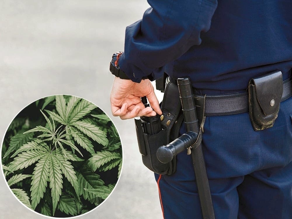 Over 200,000 Marijuana Possession Arrests in the U.S. Signal Persistent Enforcement Challenges