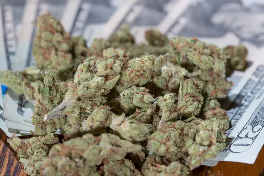 Up in Smoke: The $31.8 Million Marijuana Tax Dispute and Its Ripple Effects