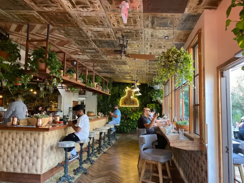 San Francisco proposing Cannabis Cafes