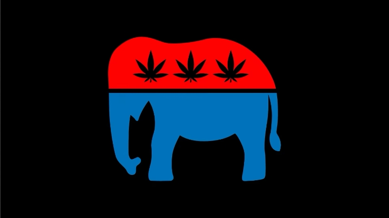 PAC with connections to Trump used money from weed businesses to fund anti-legalization politicians