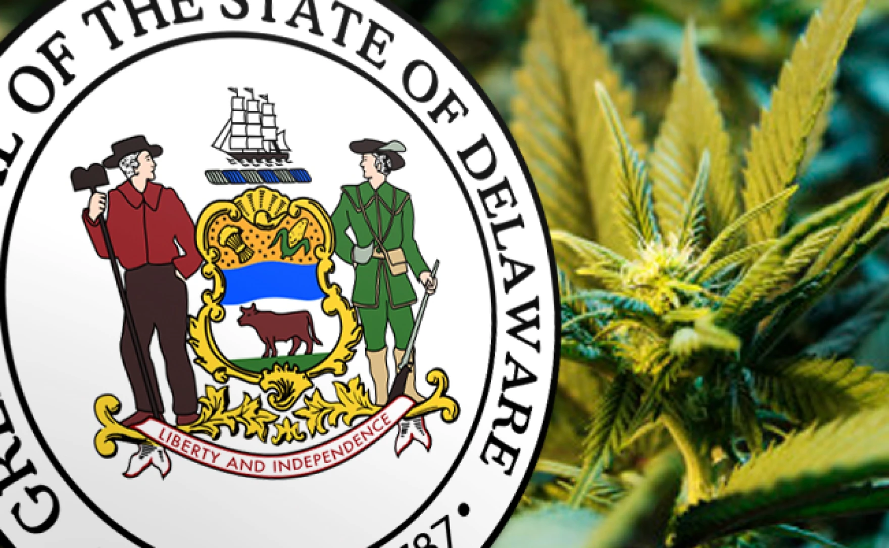 Delaware’s Cannabis Market Faces Unexpected Slowdown Amid Early Industry Challenges