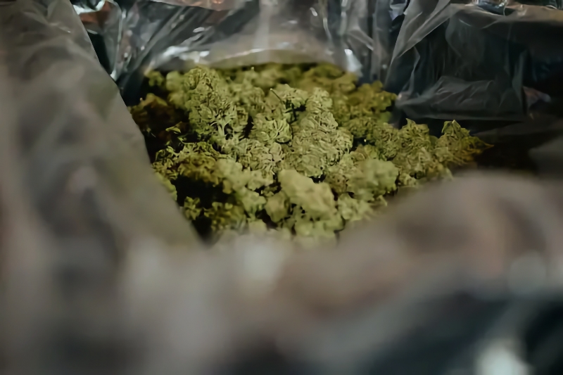 $20 million of weed seized in Oregon