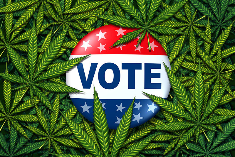Cannabis Policy Influences Voter Decisions: 78% of Consumers Say It’s a Dealbreaker